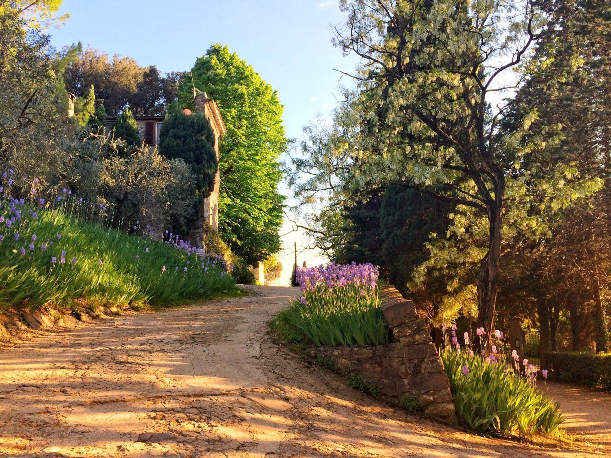 Villa Rucellai Prato  Esterno foto