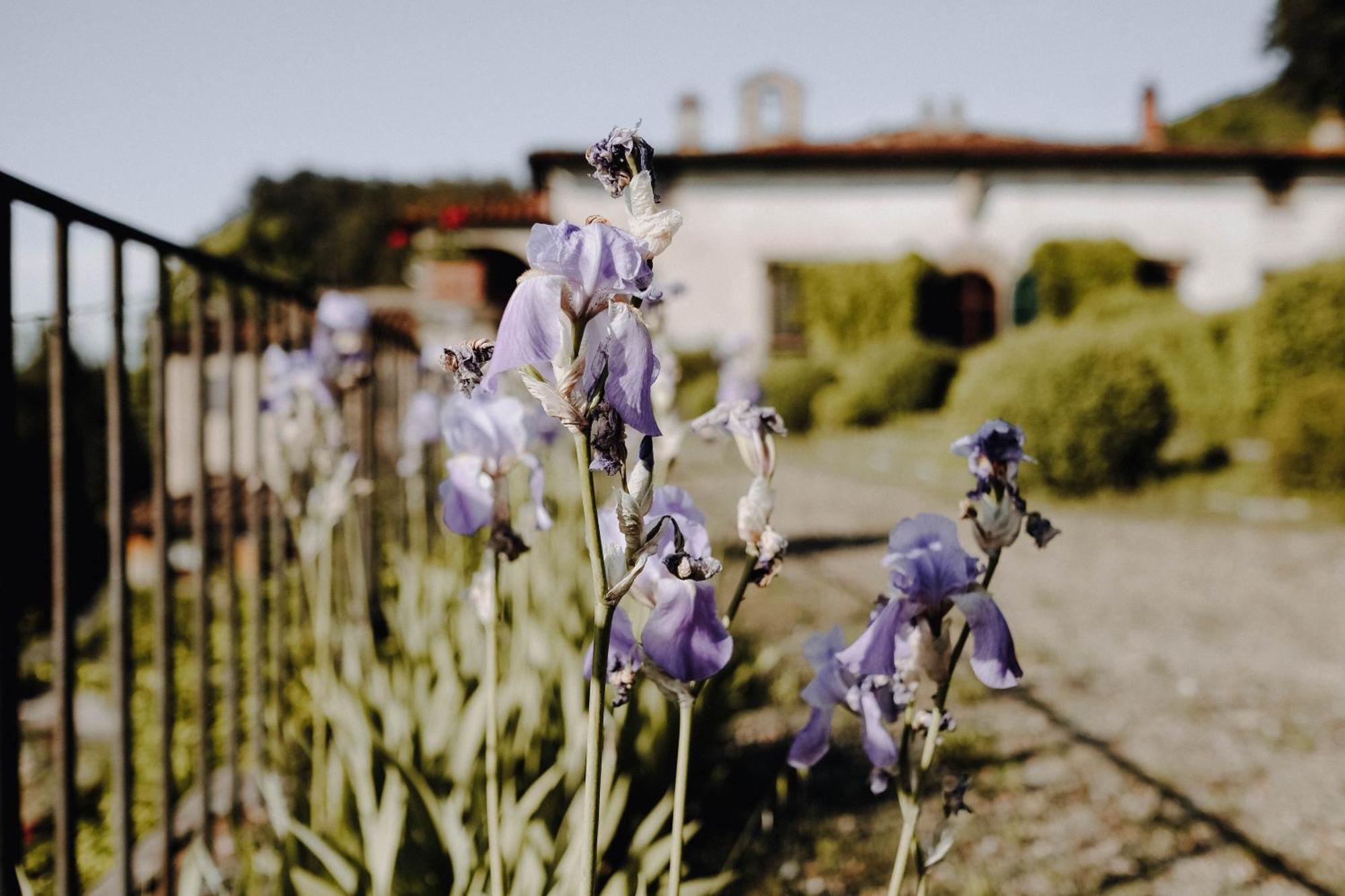 Villa Rucellai Prato  Esterno foto